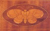 Butterfly inlay. 214138